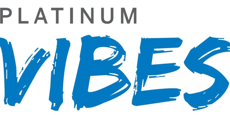 VIBES Logo