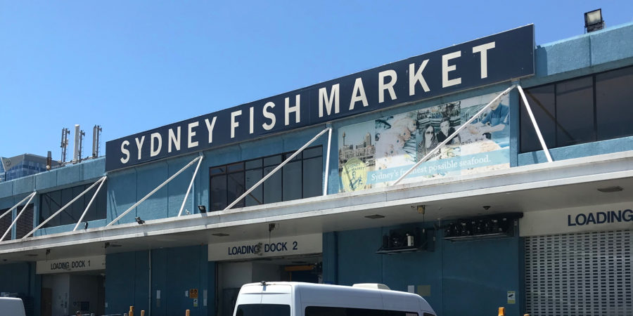 sydney fish market 9 - revised